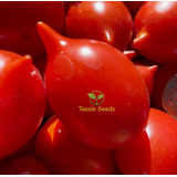 100 Semillas De Tomate Pezon+ Instructivo