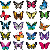 Pegatinas Adhesivas Grandes Y Coloridas Con Mariposas Para V
