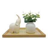 Kit Decorativo Grande Bandeja Elefante Madeira Vaso Planta