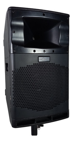 Parlante Bafle Audiocenter Modelo Sa312 De 500w