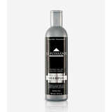 La Puissance Shampoo Black Platinum X 300 Ml