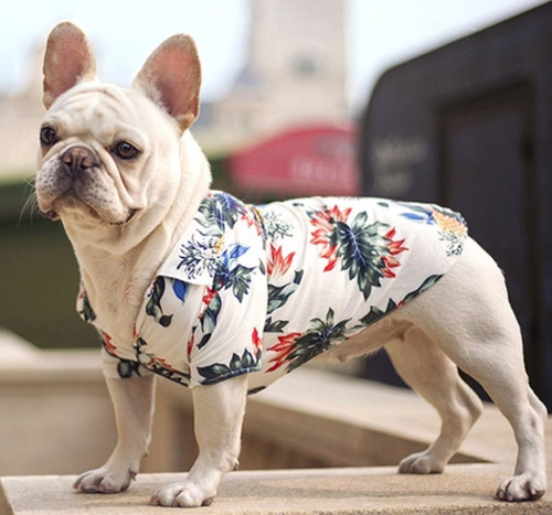 Camisa Para Mascotas Playera Blanca