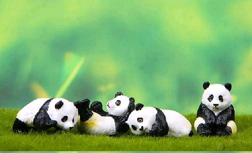 Mianiaturas 4 Pandas  Suculentas Mini Jardins Terrarios Deco