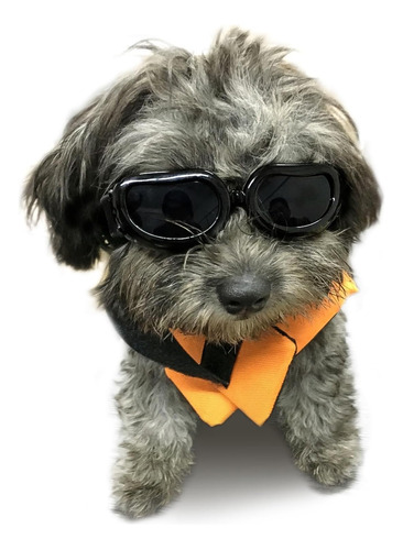 Gafas De Sol Para Perros Pequeños Protección Uv Enjoying