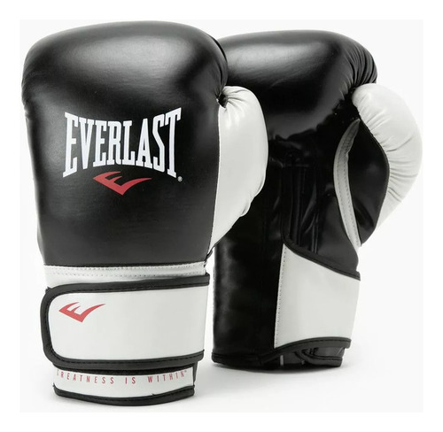 Guantes De Boxeo Everlast Pro Style Advance 