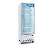 Freezer Exhibidor Vertical Teora Tev600bte 1 Puerta 590 Lt