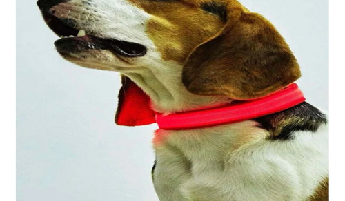 Collar De Luz Led De Usb Recargable Mascota  Perro Gato
