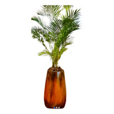 Palmera Areca En Maceta Laqueada Con Plato