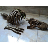 Adorno Para Acuario Con Forma De Esqueleto De T-rex Envio Gr