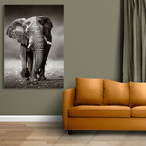 Cuadro Elefantes Moderno Bastidor Canvas 90x60 Verticales E9