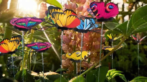 10 Pzas Mariposas Para Orquídeas O Macetas, Decoración