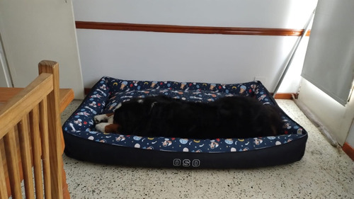 Cama Para Mascotas