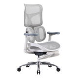 Silla De Oficina Ergonómica Ejecutiva Resistente Sihoo S100 Color Gris Material Del Tapizado Mesh