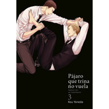 Pajaro Que Trina No Vuela Vol 3 - Kou Yoneda