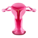 Aparato Genital Femenino + Diu Impresión 3d