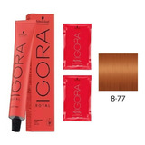 Tinta Igora Royal Tono 8-77 - g a $398