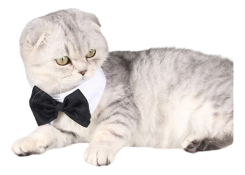 Collar Smoking Moño Formal Perro Gato 
