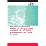 Libro: Ondas De Choque Como Solución De La Ley De Conservaci