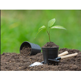 Tierra Preparada 10 Kg Para Sembrar Plantas, Jardinería 
