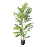 Palmera Areca Planta Artificial 200cm Calidad Premium