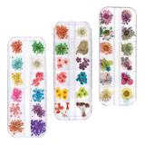 Decoracion Uñas Esculpidas Flores Secas Strass Tip Nail Art