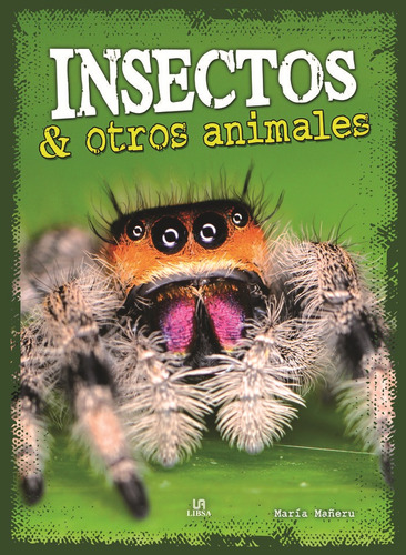 Insectos Y Otros Animales - Aa.vv.