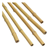 4 Varas De Bambú Naturales Olha 150 Cm Largo / 2 Cm Grosor