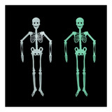 Colgante Decorativo Halloween Esqueleto Brilla En La Oscurid
