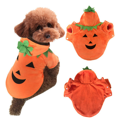 Mascota Halloween Calabaza Ropa Fiesta Moda