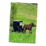 Granja Rose Amish En 3d Con Cochecito Para Caballos Cerca De