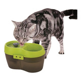 Cath2o Fuente De Agua Para Gatos Verde 2 Lts