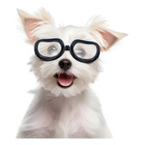 Gafas De Sol Perros, Cachorros Mascotas Transparentes Gafas