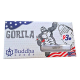 Gorila Usa 3 Semillas Buddha Seeds 