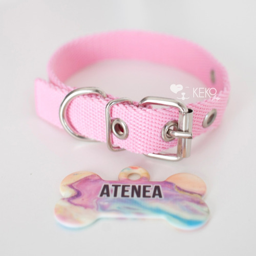 Combo Collar + Chapita Personalizada Para Perros Talle  Xl