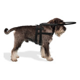 Guia Cachorro Cego Aro Regulável Peitoral Pet Cão Deficiente