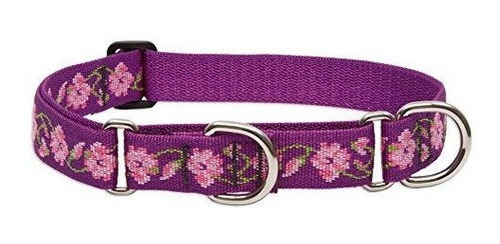 Collar Para Medianas Grandes De Perros