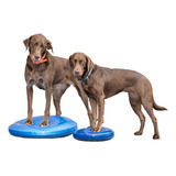 Fitpaws® Disco De Equilibrio Para Adiestramiento/rehabilitac