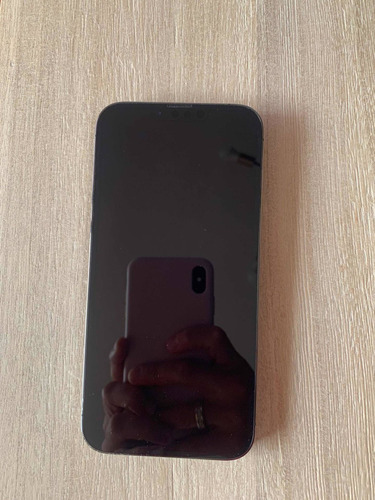 iPhone 13 Pro Max 512 Gb Negro Usado