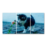 Cuadro Gato Con Flor 60x120 Cm Entero, Triptico O Poliptico