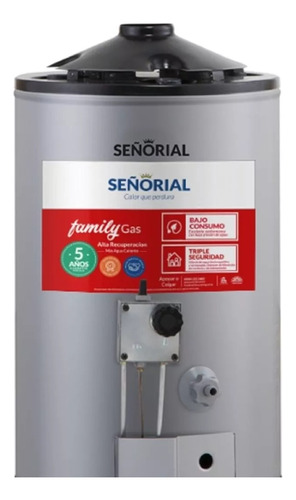 Termotanque Gas 30 L Señorial Alta Recuperacion Family Cromo