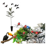 Árvores Que Atraem Pássaros - Mudas Bem Formadas