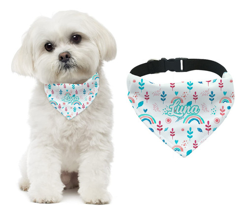 Collar De Perro Y Bandana Personalizados Con Nombre Y Diseño