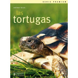 Las Tortugas, Hartmut Wilke, Hispano Europea