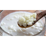 Kefir, Yogurt De Pajaritos