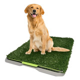 Doggie Grass Tapete Entrenador Sintético Grande Fancy Pets