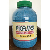 Semilla Bermuda Grass Picasso Frasco Por 1 Kilo