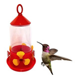 Bebedero Comedero Colibri Picaflor Pajaros Aves Jardin