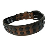 Collar Cuero Ideal Perro Tipo Salchicha, Bulldog Frances