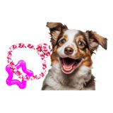 Juguete Perros Juguete Interactivo De Cuerda Para Mascota