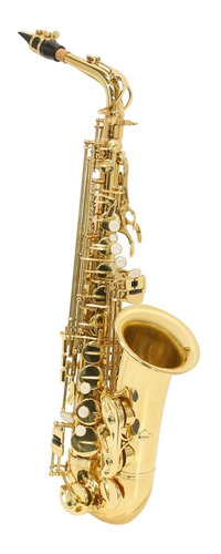 Saxofone Alto Laqueado Eb Custom Com Case